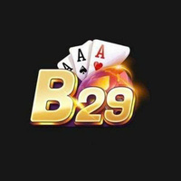 b29 finace