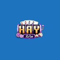 HAYWIN 