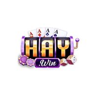 HAYWIN Now