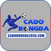 Cá độ bóng đá online 