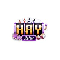 HAYWIN  