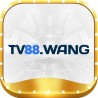 tv88 wang