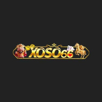 Nhà Cái  Xoso66