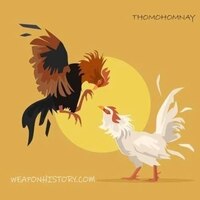 ĐÁ GÀ TRỰC TIẾP