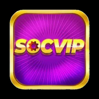 SocVip  1org