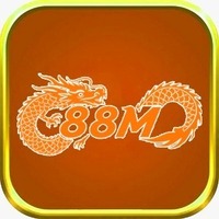 88M info