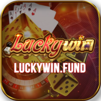 Luckywin fund