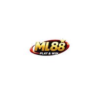 ml88 biz