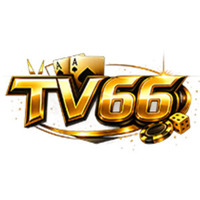 TV66 