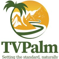 tv palm