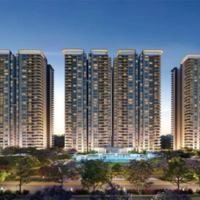 Purva Northernlights