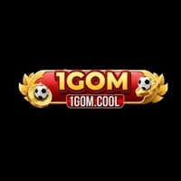 1Gomvn pro