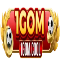1Gomvn pro