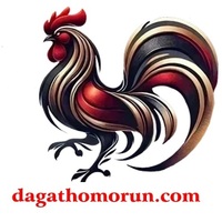 ĐÁ GÀ THOMO