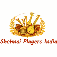 Groom Entry Sitar Music