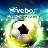 vebozzecc 
