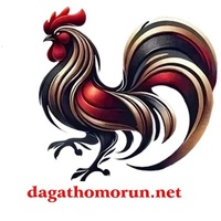 ĐÁ GÀ THOMO