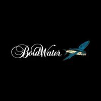 BoldWater Studios LLC