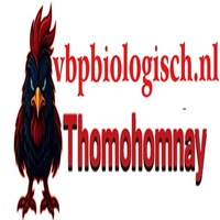 THOMO HOMNAY