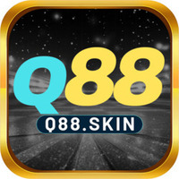 q88 skin