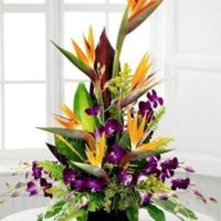 Bradenton Florists