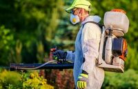 Alexandria Pest Control