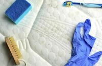 Fleming Island Mold Solutions
