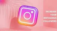  followers41