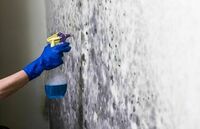 Cap City Mold Inspections