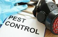 Aggieland Pest Control Solutions