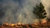 Bay's Bright Side Smoke Damage Experts