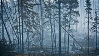 Big Red Castle Fire Smoke Damage Experts