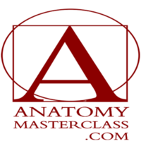 anatomy000