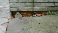 Beehive State Foundation Repair Experts