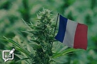 Acheter des produits CBD huile cbd, résine cbd, fleur cbd extraits CBDevor