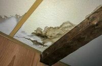 Boomtown Water Damage Experts