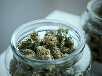 Best online dispensary