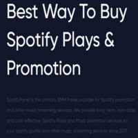 buy spotify plays