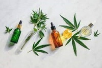 Buy Bulk CBD Products Wholesale | CBD Wholesale Supplier UK