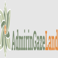 admiringazeland