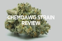 Buy psychedelic online - easihigh
