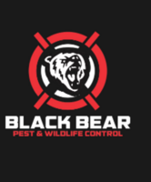 Black Bear Pest & Wildlife  Control