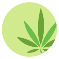 Cannabis delivery