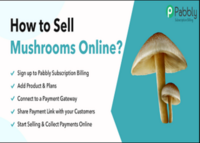 About - SporesMD - Legal Psychedelic Products