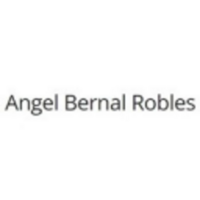 Angel Bernal Robles