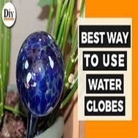 Amazon.com: Reifier 6-Pack Plant Watering Globes