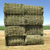 alfalfahay-farm