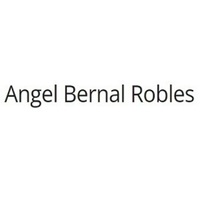 Angel Bernal Robles