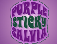  Purple Sticky Salvia