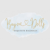 bayouragdollsus